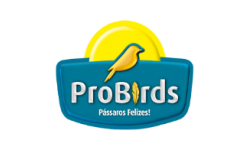 Probirds