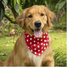 115672 - BANDANA ESTAMP POWERPETS G PCT C/10 UN