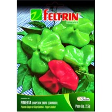 19950 - SEMENTE PIMENTA CAMBUCI 25 X 400G