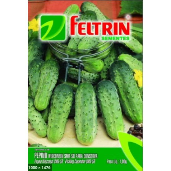 SEMENTE PEPINO CONSERVA 25 X 1,2G