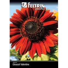 21621 - SEMENTE FLOR.GIRASSOL VALENTINE 20X600MG