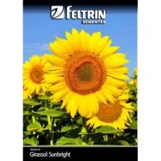 21622 - SEMENTE FLOR.GIRASSOL SUNBRIGHT 20X600MG