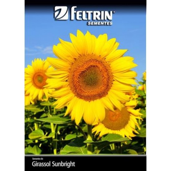 SEMENTE FLOR.GIRASSOL SUNBRIGHT 20X600MG