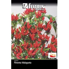 21607 - SEMENTE HORT.PIMENTA VULCAO 25X400MG