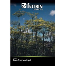 21638 - SEMENTE CONDIM.ERVA DOCE MEDICI 20X80MG