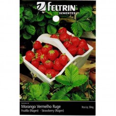 12860 - SEMENTE MORANGO VERMELHO RUDE 20 X 50MG