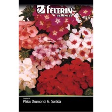 21619 - SEMENTE FLOR.PHLOX SORTIDO CHIT 20X130MG