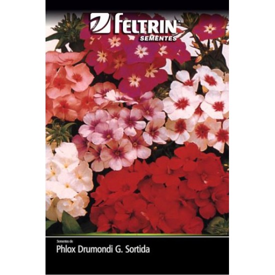 SEMENTE FLOR.PHLOX SORTIDO CHIT 20X130MG