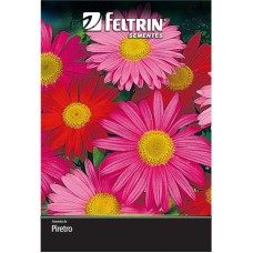 21626 - SEMENTE FLOR.PIRETRO GIGANTE SOR20X200MG