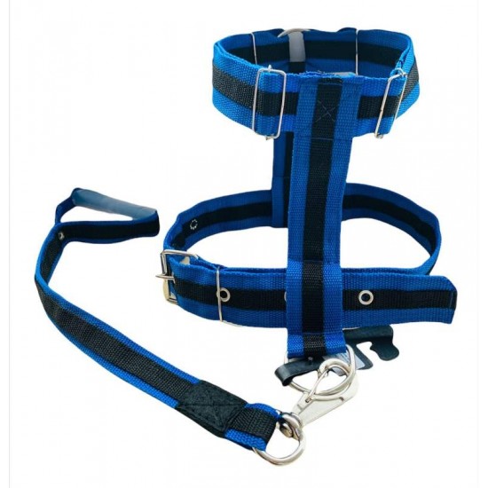 CJ. GUIA/PEITORAL PIT BULL TRACAO 50CM-P