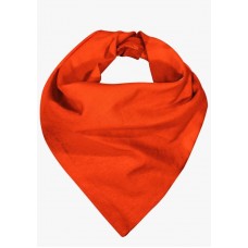 22910 - BANDANA PET NEON MEDIA-LARANJA