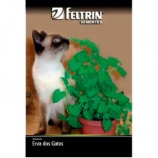 14140 - SEMENTE ERVA DOS GATOS 20X100MG