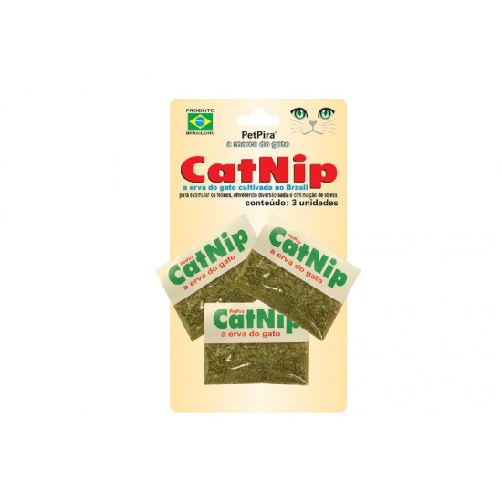 CATNIP A ERVA DO GATO - PET PIRA